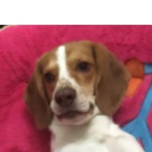 Meet your Posher, Katelyn